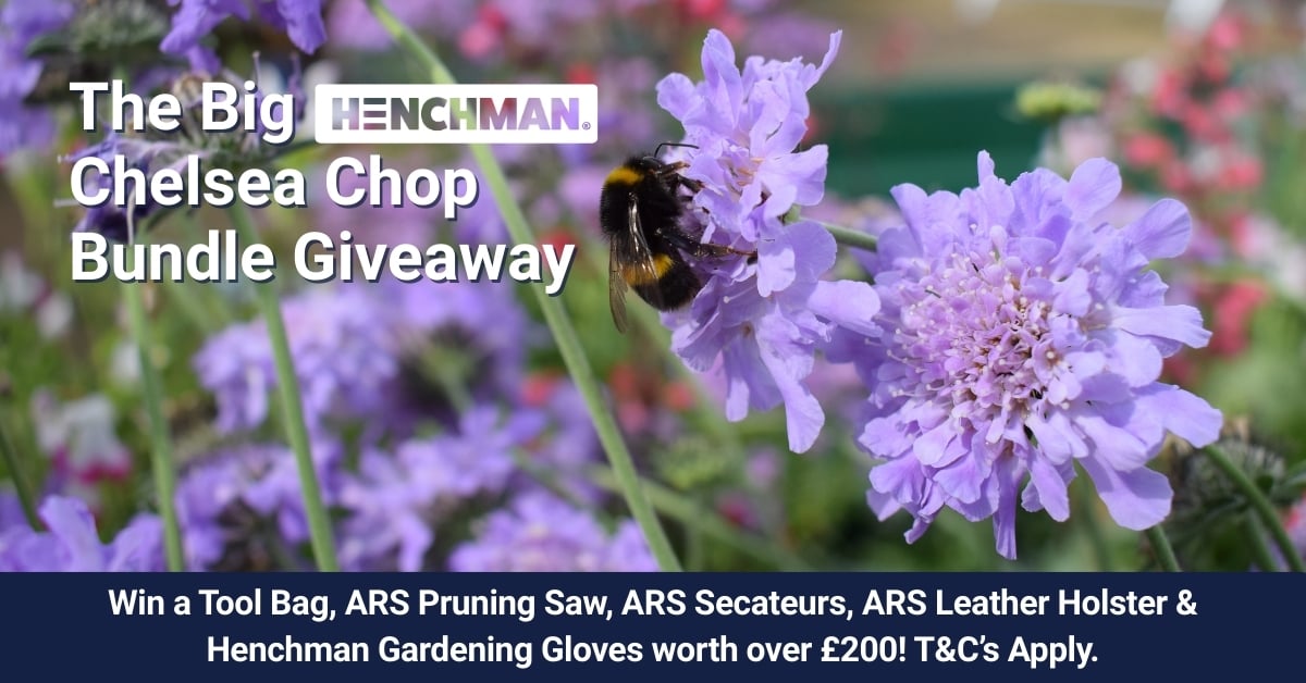 Chelsea Chop Bundle Giveaway May 2026 FB Ad